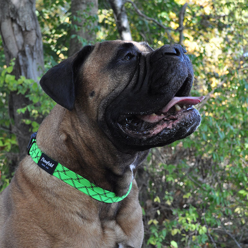 Flowfold Recycled Rope Dog Collar - Large フローフォールド リサイクルロープ ドッグコーラー ラージ