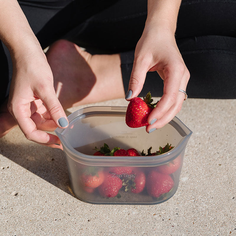 Zip Top ジップトップ ディッシュ M - グレー