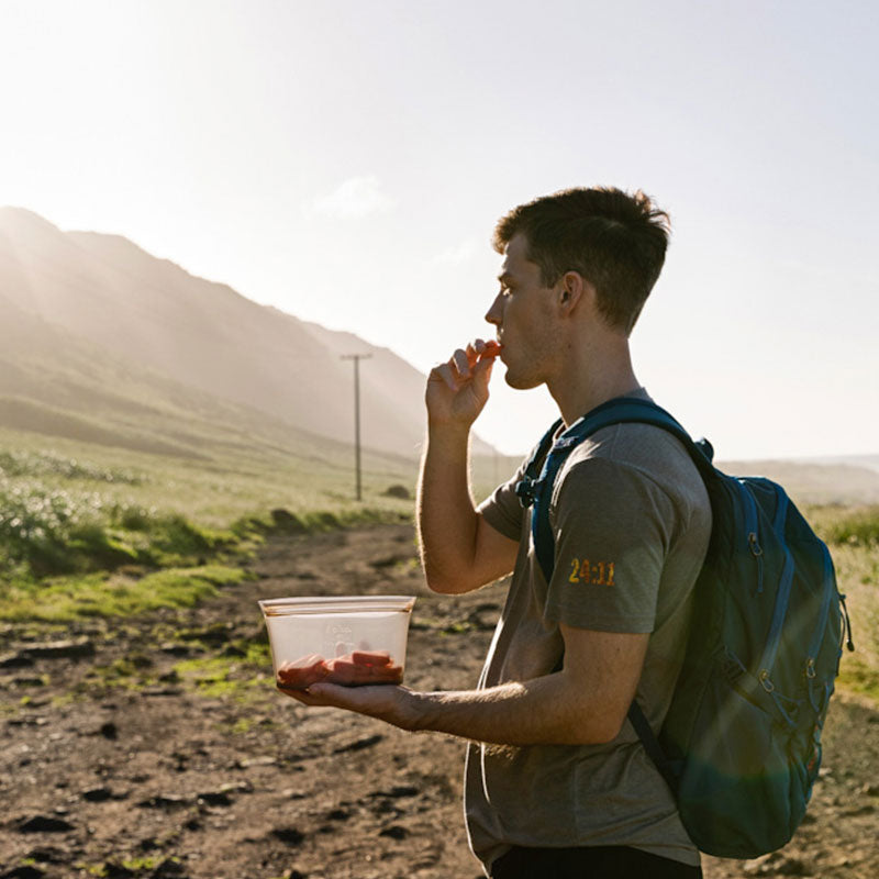 Zip Top ジップトップ ディッシュ M - グレー