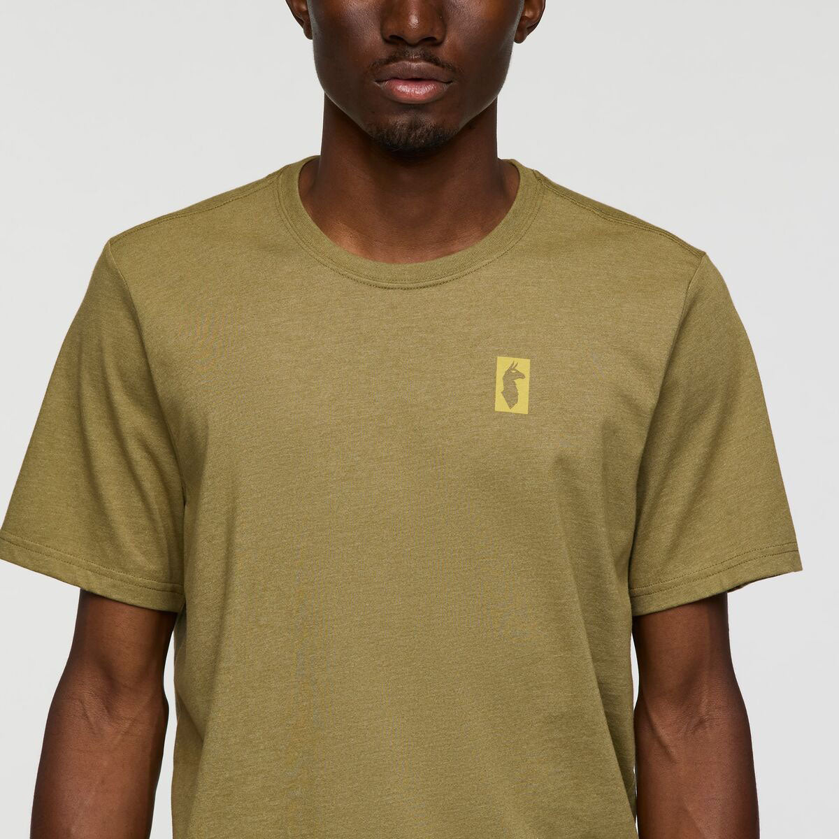 Cotopaxi Gear For Good Stripes T-shirt - MENS コトパクシ ギア フォーグッド Tシャツ メンズ