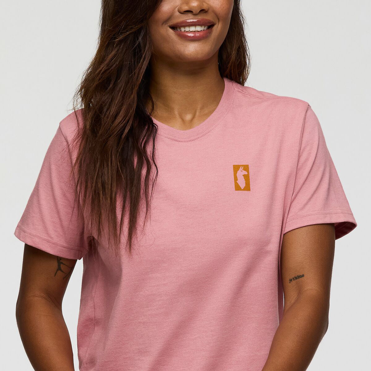 Cotopaxi Gear For Good Stripes T-shirt - WOMENS コトパクシ ギア フォー グッド ストライプTシャツ ウィメンズ