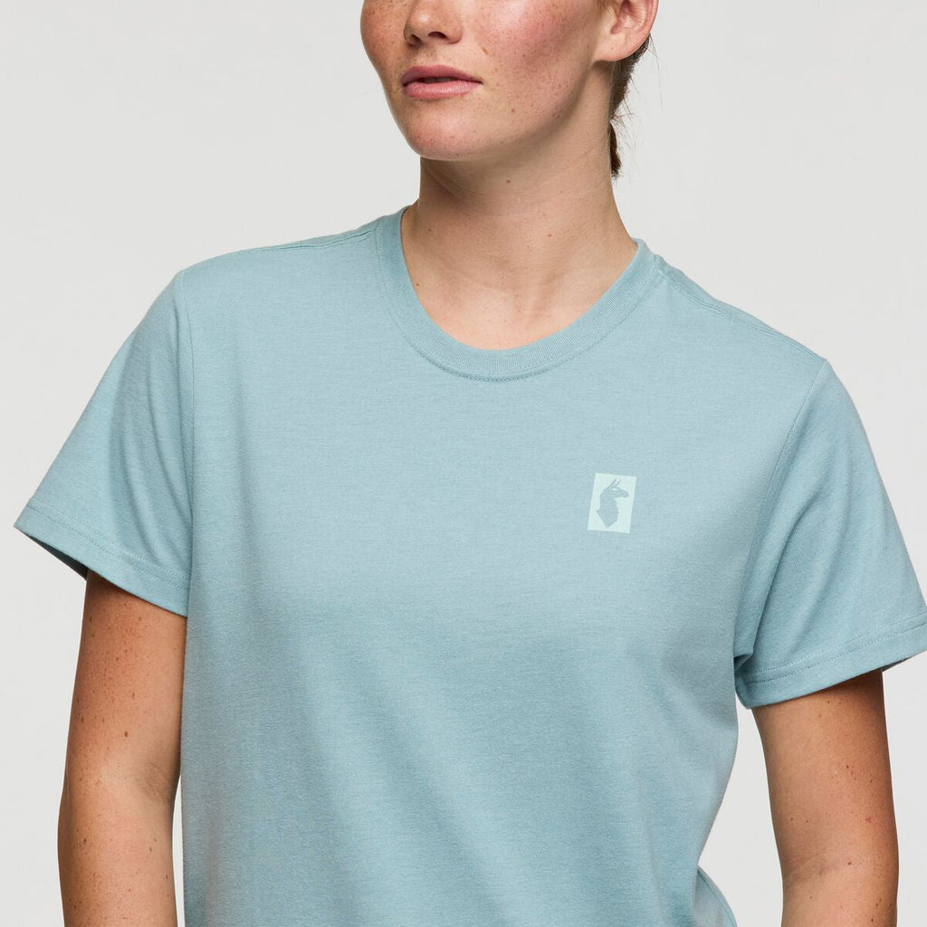 Cotopaxi Gear For Good Stripes T-shirt - WOMENS コトパクシ ギア フォー グッド ストライプTシャツ ウィメンズ