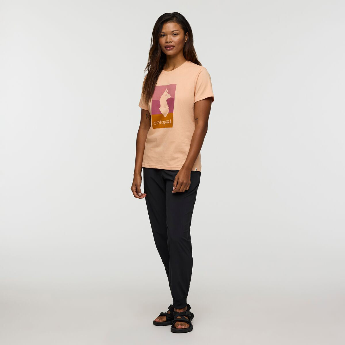 Cotopaxi Llama Block T-Shirt - WOMENS コトパクシ ラマ ブロック Tシャツ ウィメンズ