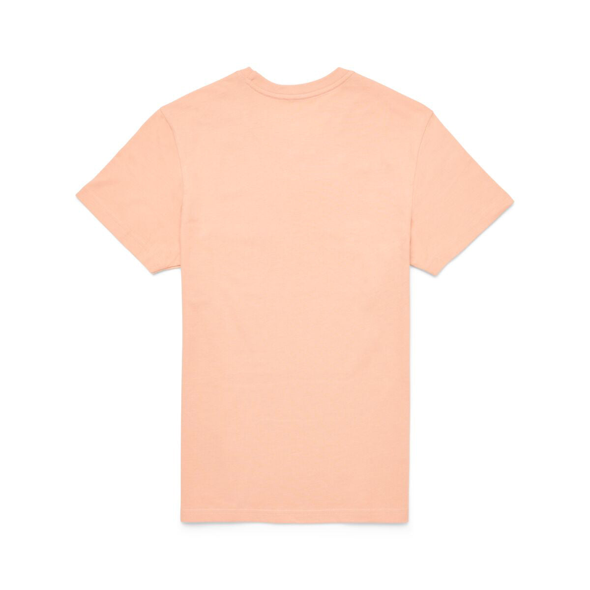 Cotopaxi Llama Block T-Shirt - WOMENS コトパクシ ラマ ブロック Tシャツ ウィメンズ