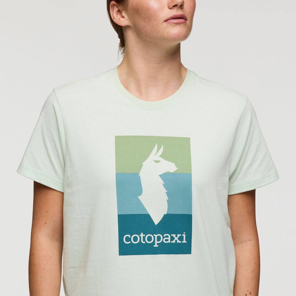 Cotopaxi Llama Block T-Shirt - WOMENS コトパクシ ラマ ブロック Tシャツ ウィメンズ
