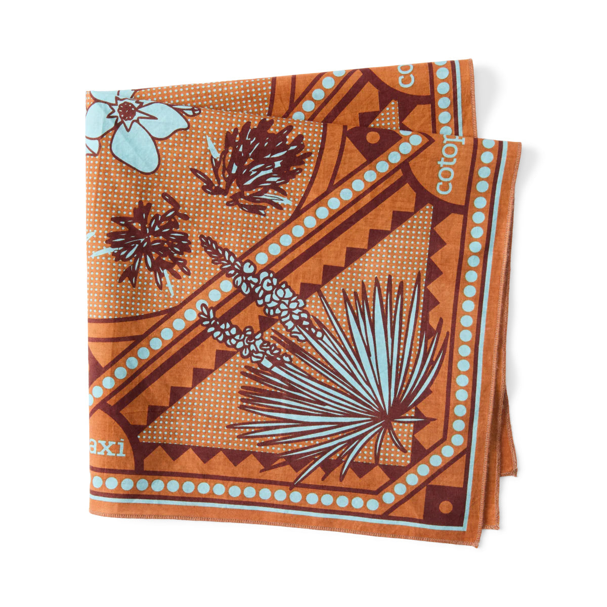 4枚　アマダ　ポイントハゴハン！ Cotopaxi Organic Cotton Bandana コトパクシ オーガニック コットン