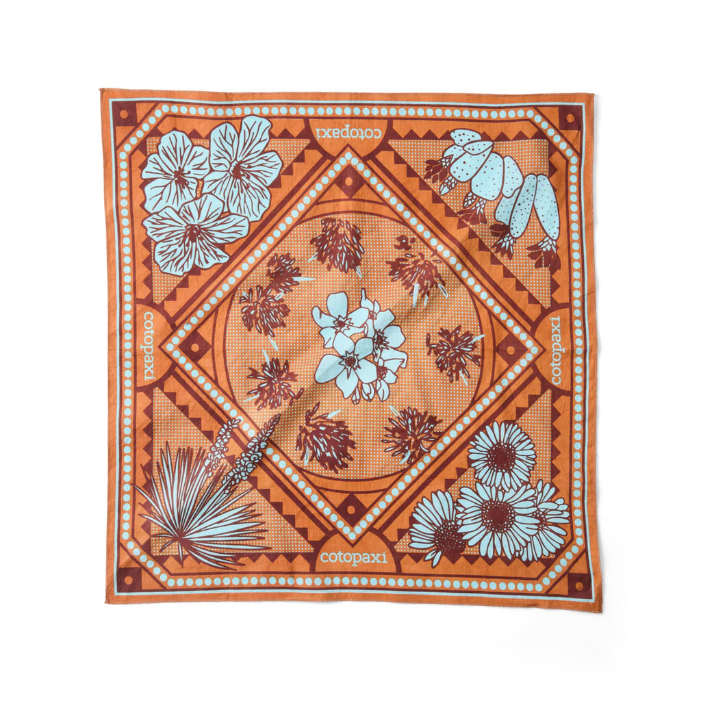 4枚　アマダ　ポイントハゴハン！ Cotopaxi Organic Cotton Bandana コトパクシ オーガニック コットン