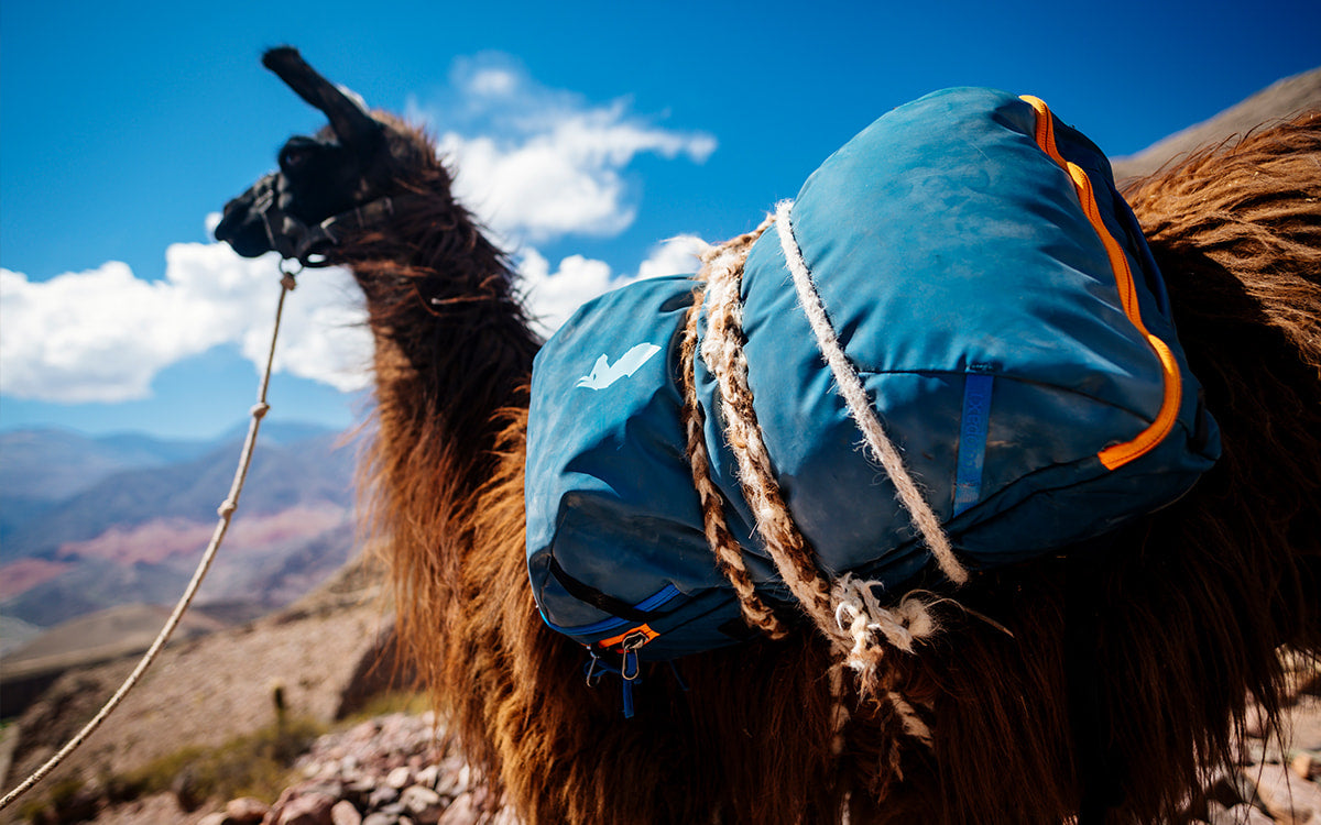 MAGAZINE #05-1 COTOPAXI