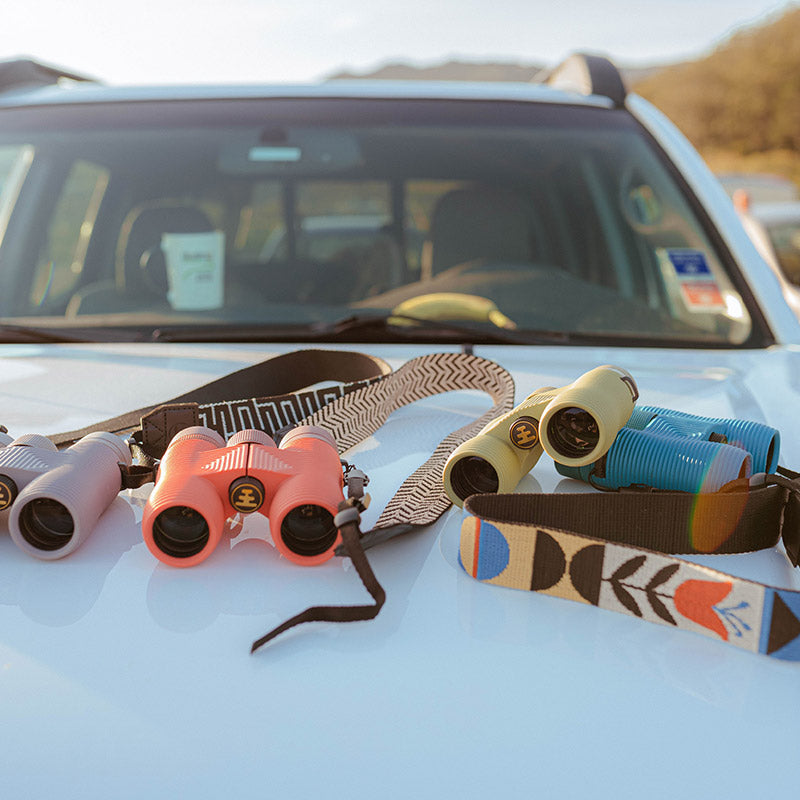 NOCS PROVISIONS WOVEN TAPESTRY STRAP ノックスプロヴィジョンズ ウーヴェンタペストリーストラップ カメラストラップ