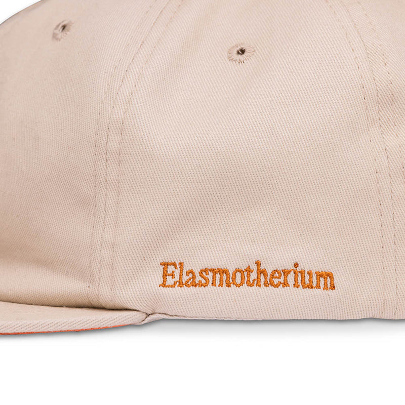 NOCS PROVISIONS EXTINCT CREATURE SIX PANEL CAP エクスティンクト シックス パネルキャップ