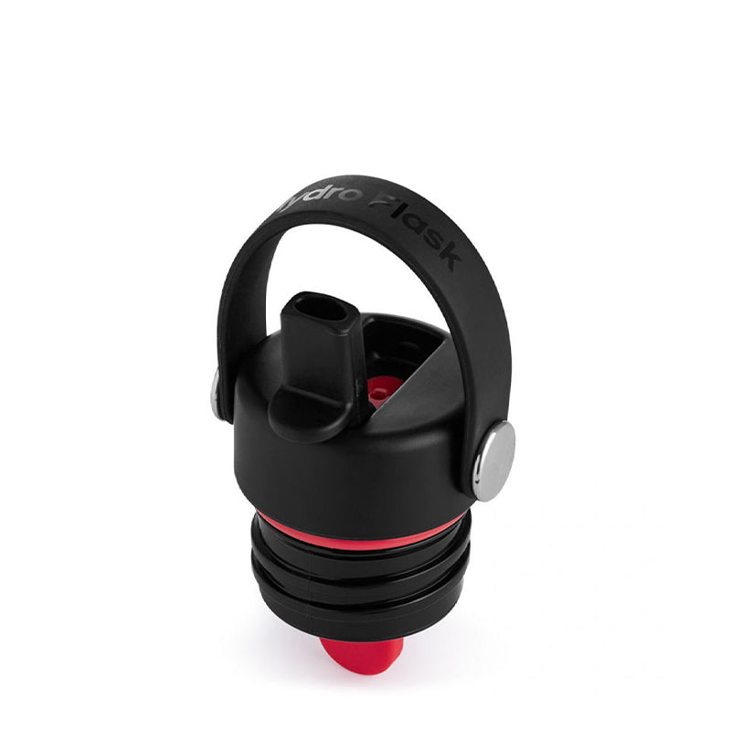 Hydro Flask 21 oz Standard Mouth Flex Straw ハイドロフラスク 21オンス スタンダードマウス フレックス ストロー ステンレスボトル